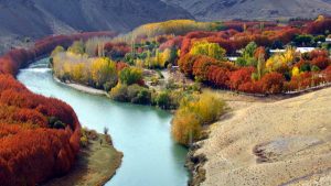 Forest park of Chadegan dam